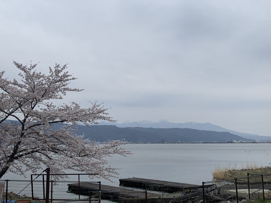 八ケ岳西からの山並と桜
