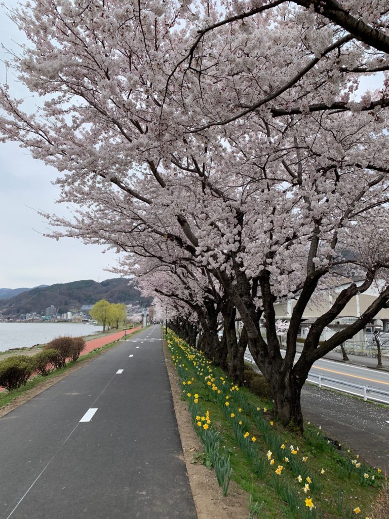 諏訪湖間欠泉センター周辺